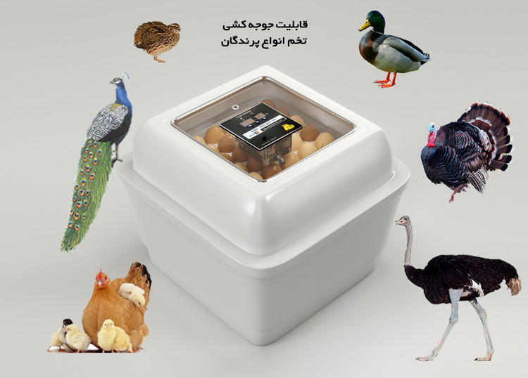 دستگاه جوجه کشی دو جداره 84 عددی